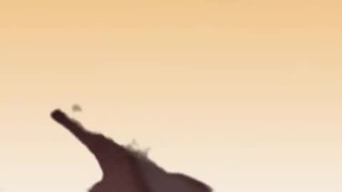 fabinou32 online show from 11/22/25, 02:49