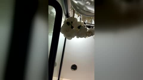 fabiolacal11 online show from 02/28/26, 05:52