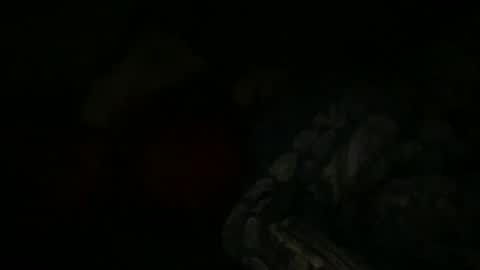 FABX online show from 01/06/25, 09:22