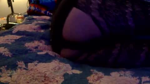 Snapshot of facedownassup219267 chatting on 01/25/25, 11:23 facedownassup219267 online show from 01/25/25, 11:23