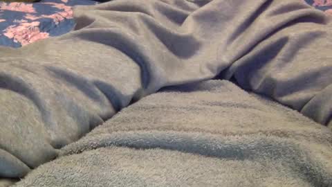 Snapshot of facedownassup219267 chatting on 01/25/25, 08:42 facedownassup219267 online show from 01/25/25, 08:42