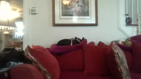 fairmount31 online show from 11/07/25, 07:25