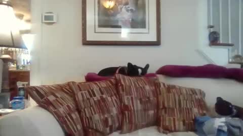 fairmount31 online show from 11/12/25, 04:51