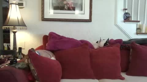 Snapshot of fairmount31 chatting on 02/13/26, 01:51 fairmount31 online show from 02/13/26, 01:51