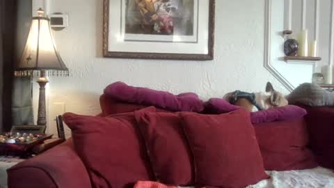 Snapshot of fairmount31 chatting on 07/19/26, 01:15 fairmount31 online show from 07/19/26, 01:15