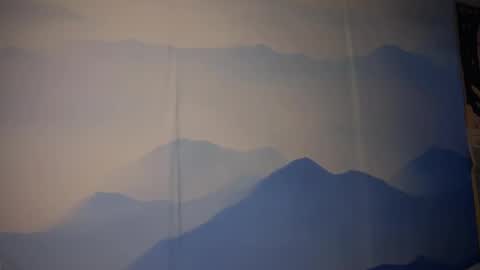 Snapshot of fairyilona chatting on 12/22/25, 11:29 Ilona online show from 12/22/25, 11:29