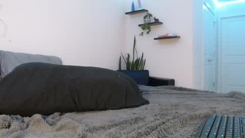 Fallon Gray online show from 03/08/25, 11:28