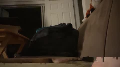 Snapshot of fangofox chatting on 10/03/25, 05:26 Fango online show from 10/03/25, 05:26