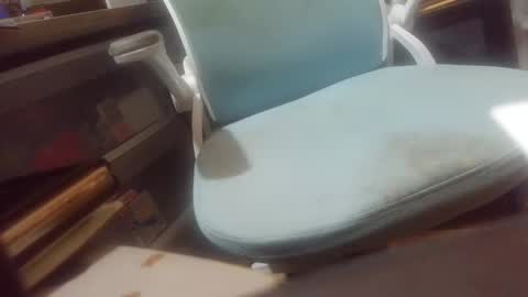 Snapshot of fatfreddythecat chatting on 02/17/26, 10:05 Fred. online show from 02/17/26, 10:05