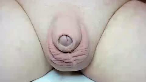 Snapshot of fatmanscock chatting on 10/26/25, 03:34 Fatmanscock online show from 10/26/25, 03:34