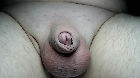 Snapshot of fatmanscock chatting on 11/19/25, 02:22 Fatmanscock online show from 11/19/25, 02:22