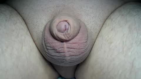 Snapshot of fatmanscock chatting on 03/01/26, 12:56 Fatmanscock online show from 03/01/26, 12:56