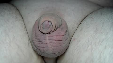 Snapshot of fatmanscock chatting on 03/02/26, 07:26 Fatmanscock online show from 03/02/26, 07:26