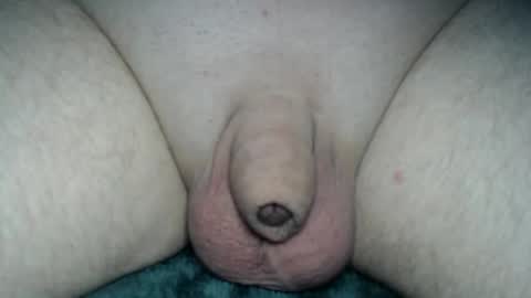 Snapshot of fatmanscock chatting on 05/04/26, 03:24 Fatmanscock online show from 05/04/26, 03:24