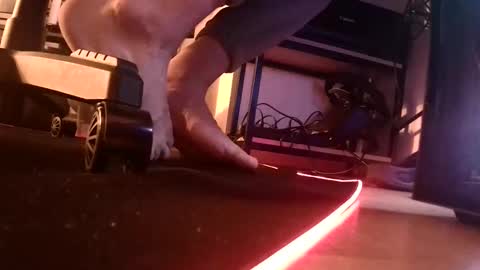 Snapshot of feetishman91 chatting on 03/27/26, 06:18 feetishman91 online show from 03/27/26, 06:18