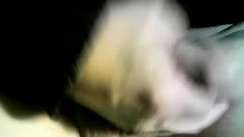 felicaste online show from 02/09/25, 03:01