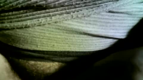 felicaste online show from 02/14/25, 09:24