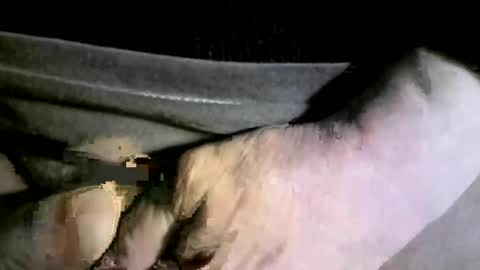 felicaste online show from 02/17/25, 04:20