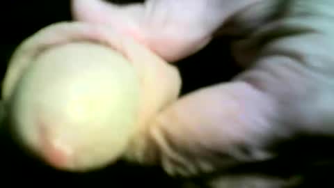 Snapshot of felicaste chatting on 04/17/26, 09:18 felicaste online show from 04/17/26, 09:18