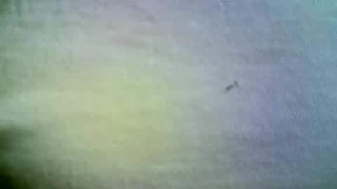 Snapshot of felicaste chatting on 04/21/26, 11:38 felicaste online show from 04/21/26, 11:38