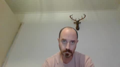 Snapshot of felipesmg2 chatting on 11/17/25, 11:27 felipesmg2 online show from 11/17/25, 11:27