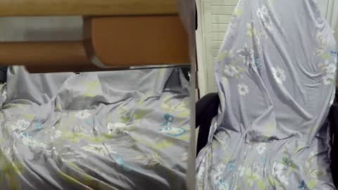 Snapshot of felixlau chatting on 12/23/24, 01:13 felixlau online show from 12/23/24, 01:13