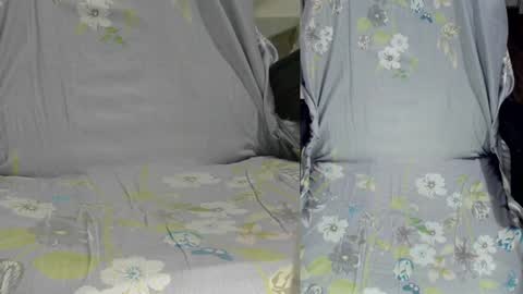 Snapshot of felixlau chatting on 01/14/25, 10:17 felixlau online show from 01/14/25, 10:17