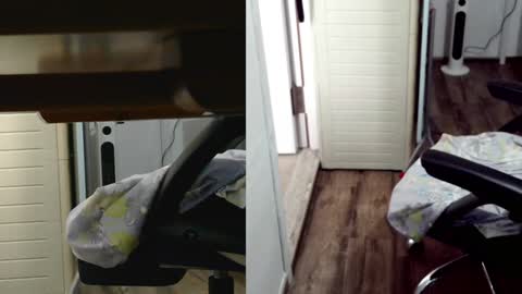 Snapshot of felixlau chatting on 02/03/25, 07:51 felixlau online show from 02/03/25, 07:51