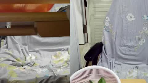 Snapshot of felixlau chatting on 02/18/25, 11:55 felixlau online show from 02/18/25, 11:55