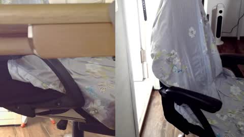 Snapshot of felixlau chatting on 02/24/25, 07:22 felixlau online show from 02/24/25, 07:22