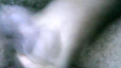 Snapshot of fer_2197 chatting on 02/18/25, 02:06 fer_2197 online show from 02/18/25, 02:06