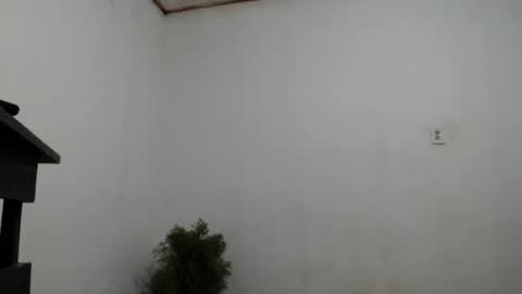 Snapshot of fernandez_latinblack chatting on 12/02/24, 04:20 fernandez_latinblack online show from 12/02/24, 04:20