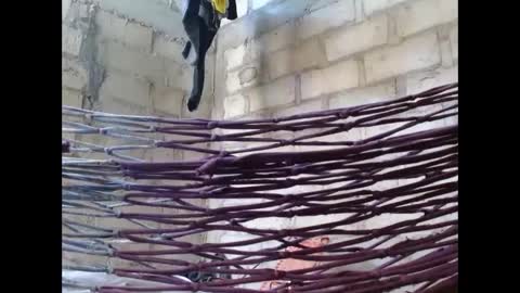 Snapshot of fernandez_latinblack chatting on 10/01/25, 02:12 fernandez_latinblack online show from 10/01/25, 02:12