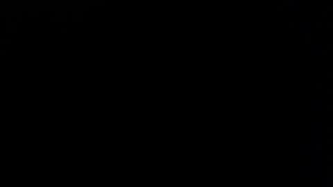 FER PHOENIX online show from 12/28/24, 03:47