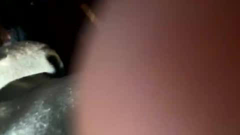 fieldmousebby online show from 11/12/25, 08:15