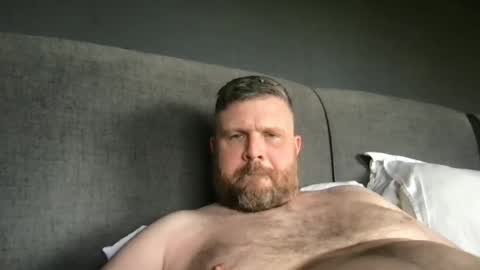 Snapshot of fin_dom_bear chatting on 05/23/26, 04:11 fin bear dom online show from 05/23/26, 04:11