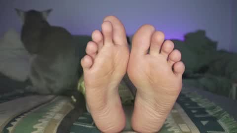 Ashley online show from 12/19/24, 12:02