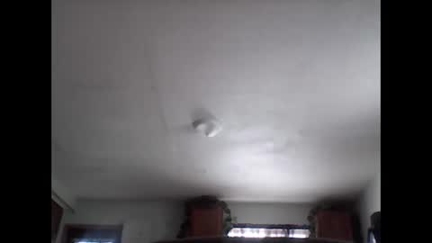 Brad online show from 11/29/25, 08:01