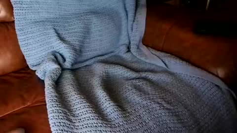 Snapshot of fitstevie1 chatting on 01/16/25, 11:27 fitstevie1 online show from 01/16/25, 11:27