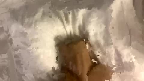 Snapshot of fixanything2000 chatting on 01/12/25, 01:16 fixanything2000 online show from 01/12/25, 01:16