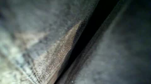 Snapshot of flash1372 chatting on 02/28/26, 04:13 flash online show from 02/28/26, 04:13