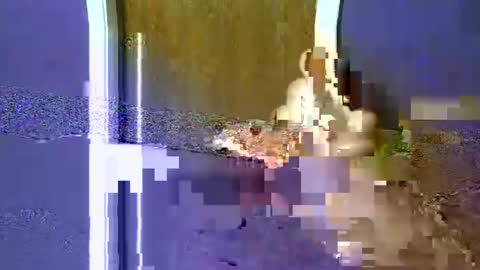 Snapshot of flex480 chatting on 02/17/26, 01:24 flex480 online show from 02/17/26, 01:24