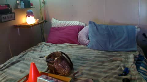 Snapshot of flopikin69 chatting on 12/22/24, 09:09 Eisha online show from 12/22/24, 09:09