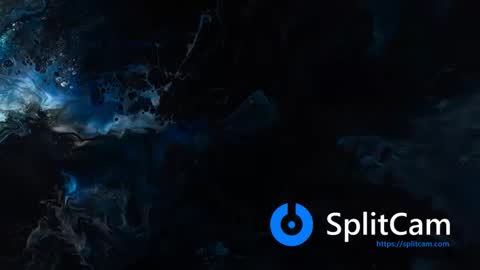 flowers109 online show from 12/22/24, 08:58