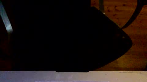 Snapshot of flowmover chatting on 12/02/24, 08:33 flowmover online show from 12/02/24, 08:33