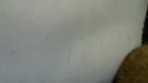 Snapshot of flufferbutt2 chatting on 04/04/26, 10:24 flufferbutt2 online show from 04/04/26, 10:24