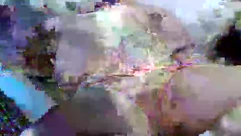 Snapshot of flufferbutt2 chatting on 04/14/26, 05:13 flufferbutt2 online show from 04/14/26, 05:13
