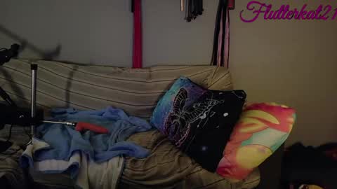 Snapshot of flutterkat21 chatting on 03/12/26, 03:29 FlutterKat online show from 03/12/26, 03:29