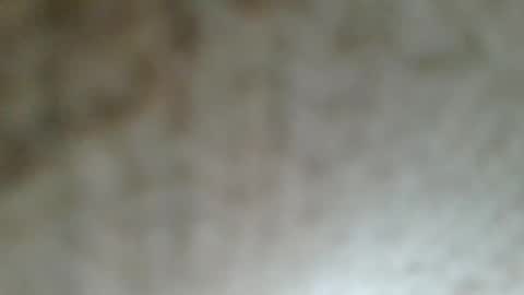 Snapshot of flyn12 chatting on 02/21/26, 12:11 flyn12 online show from 02/21/26, 12:11