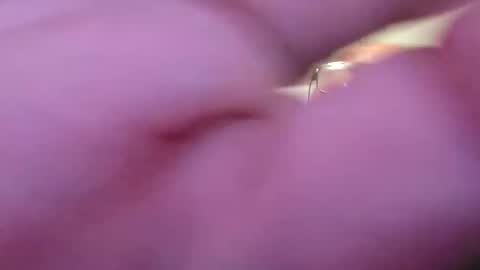 Snapshot of focusfuker chatting on 11/14/25, 11:13 focusfuker online show from 11/14/25, 11:13